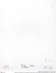 Historisches Foto (Rückseite) von Cracensigillatus acutirostris (Moericke, 1889) (NHMW-AFW-GEO-BACHMAYER-FOTO-1990-0041-0619)